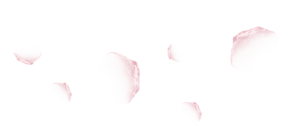 Skillverse You Actually Master